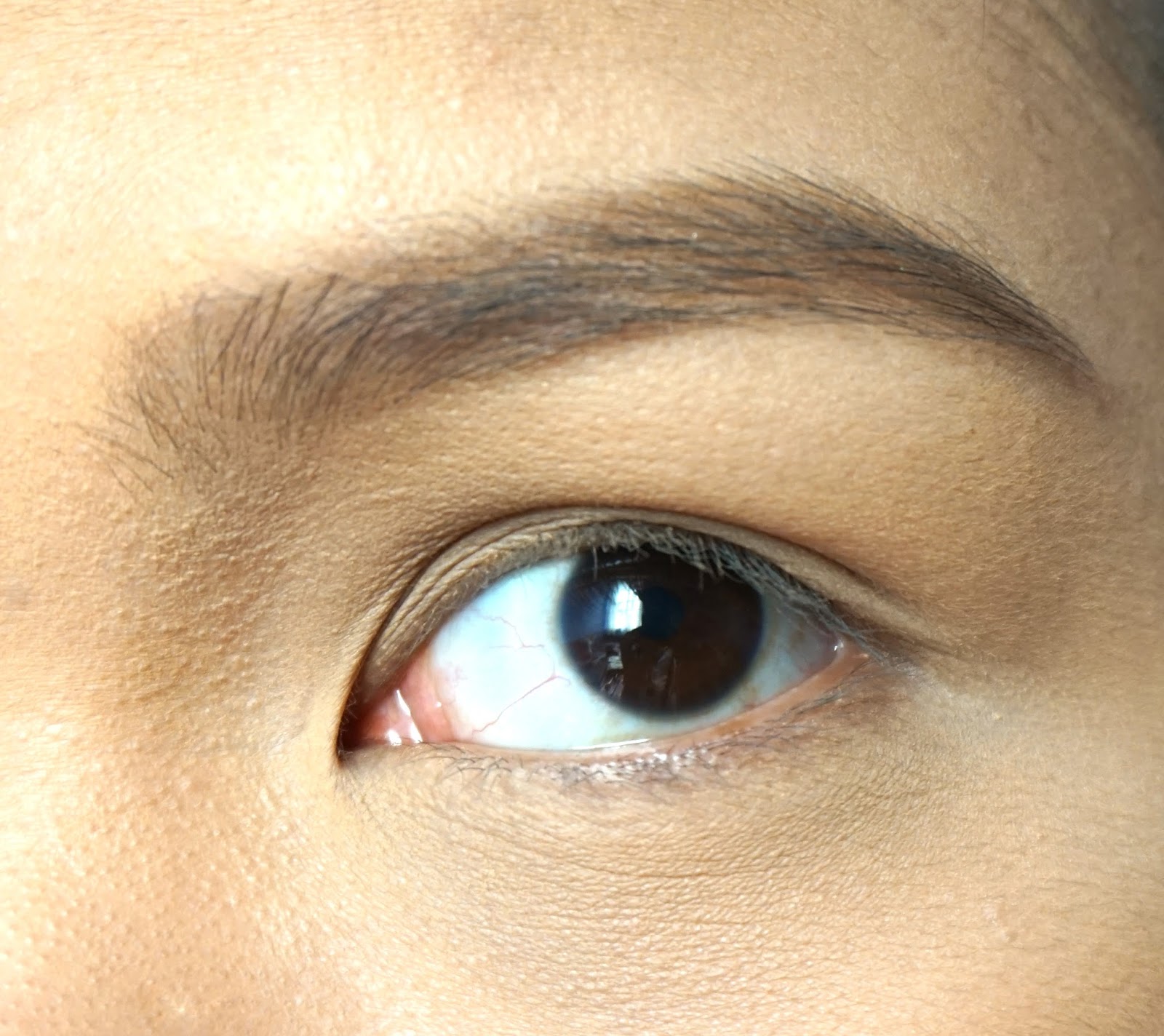 Heavy Rotation Powder Eyebrow and Nose Shadow in 02 Natural Brown