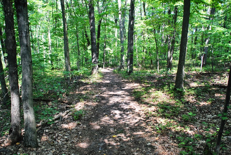 Southeastern PA Hiking Coventry Woods Preserve