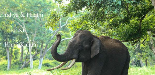 chidiya and elephant hindi story