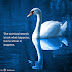 The spiritual search is not what happens but to who it happens