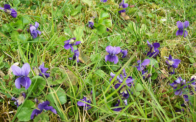 Anne Spinnt April 2013