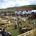 Ciobanii cu oi ecologice dintr-un sat hârtibăcean