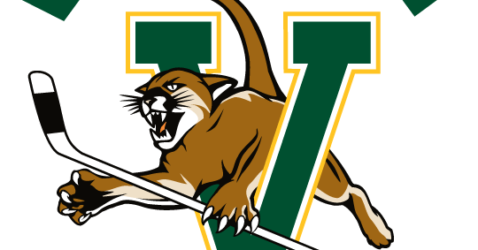 VERMONT CATAMOUNTS HOCKEY RECORD visual data 6