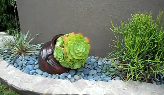 VIVERO PLANTILANDIA: Bienvenidos al vivero donde podemos ofrecer todo a