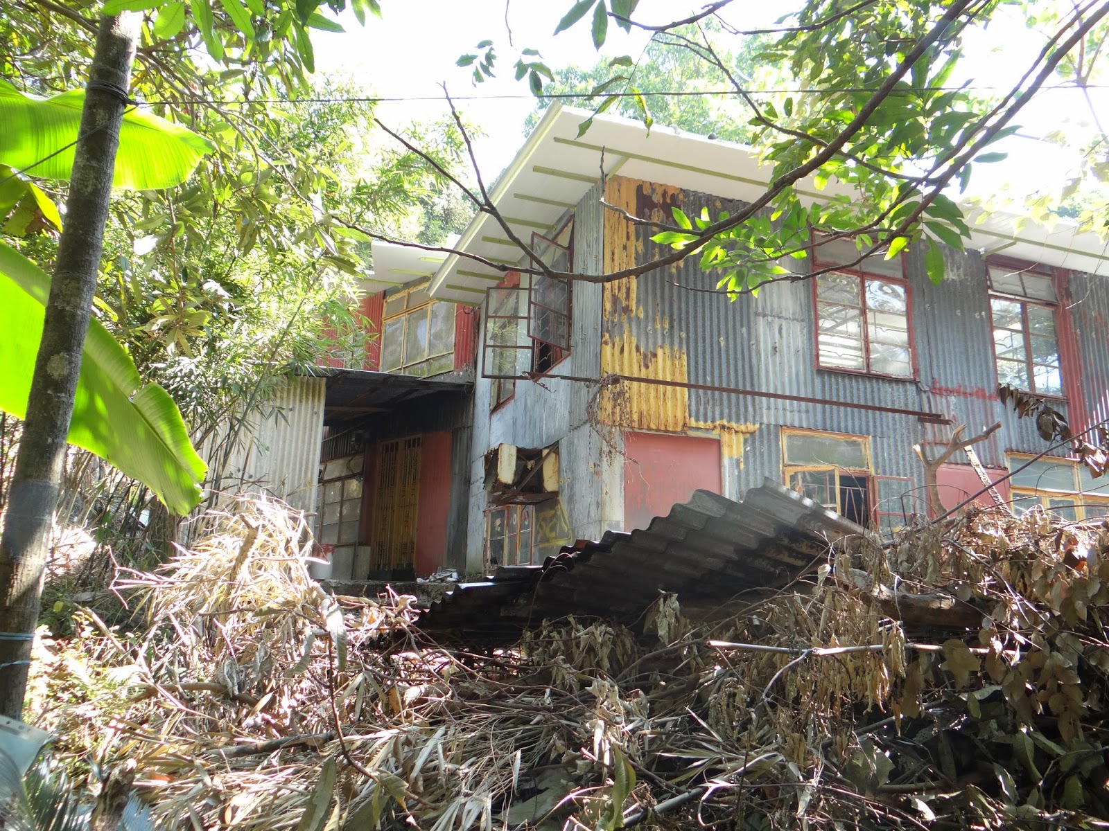 thericechronicles Squatters