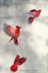 cardinal cardinals fly three snow winter tree flying birds flight heart wings male wing beat lessons teaching step line paper