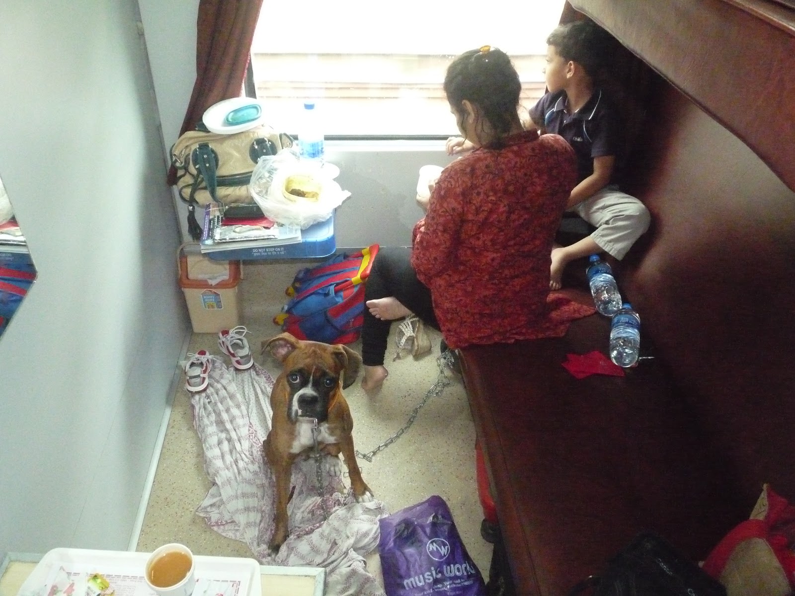 Купе в поезде для животных