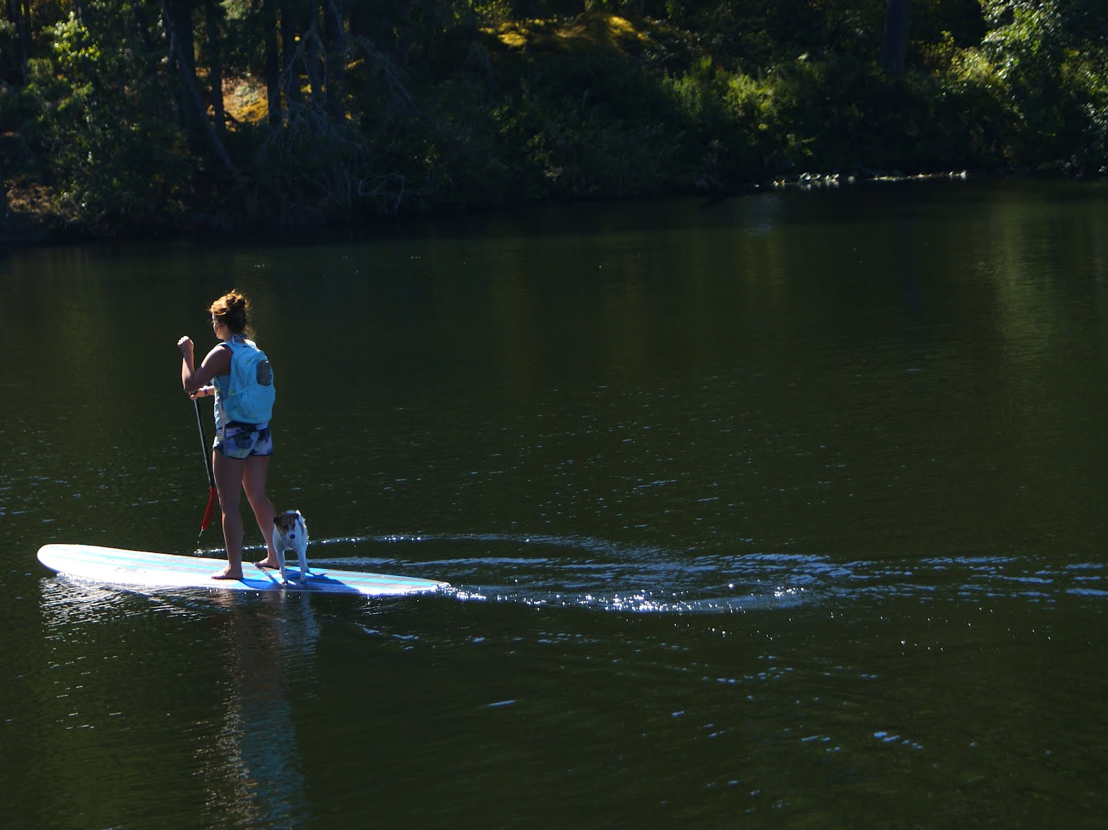 Victoria Daily Photo Paddle Boarding