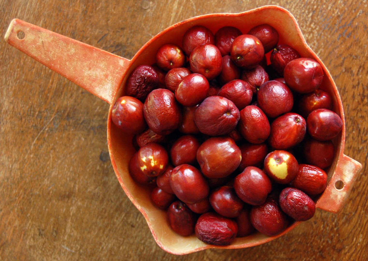 Eclectic Design Choices Designs for Your Life