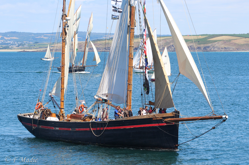 Voiliers à 2 mâts (voiles auriques ou carrées) LEADER