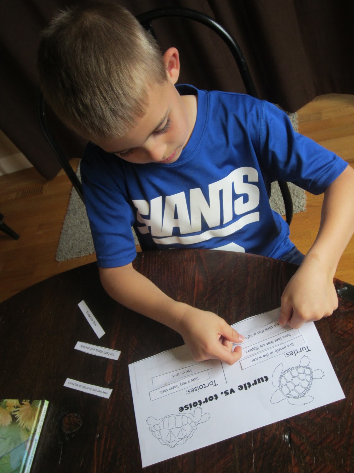 Relentlessly Fun, Deceptively Educational: Turtle or Tortoise? Reading