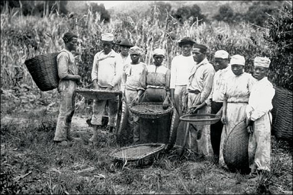 Cesar Hinojosa Quiroz y el mundo del café: La historia del café en Brasil