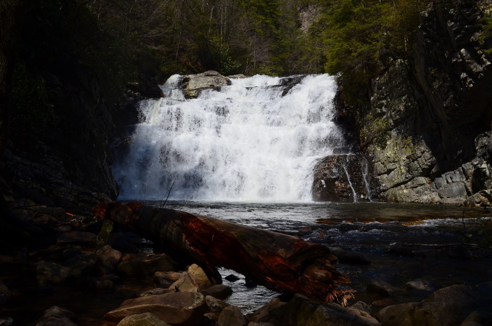 Mac Alasdair Laurel Fork Falls