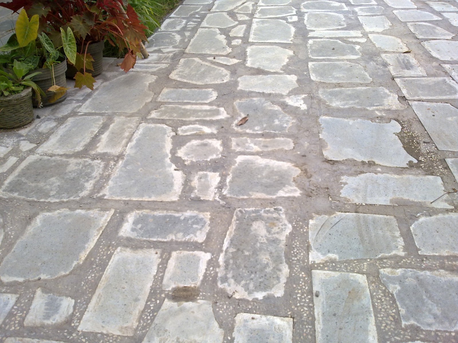 harga batu: lantai batu alam