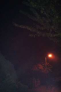 The light of a Street Light