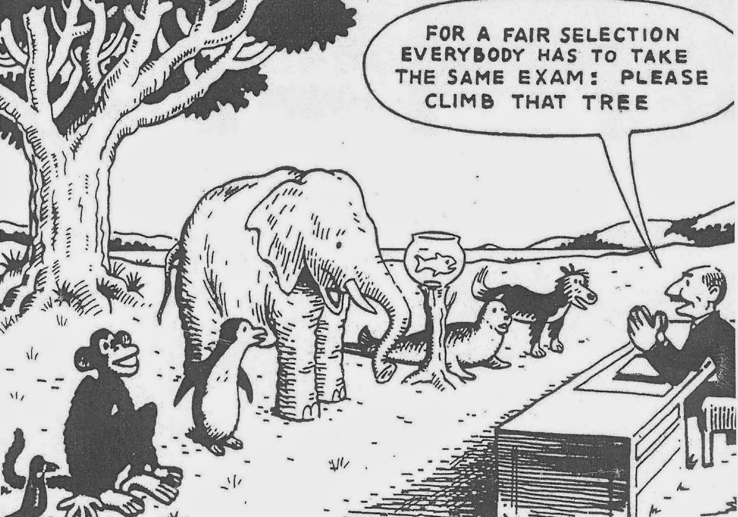 An elephant can climb. Задание залезть на дерево. Задание для всех одно залезть на дерево. Чтобы оценивание было максимально честным задание. Обучение карикатура.