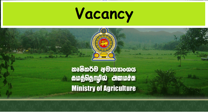 Vacancies  Ministry of Agriculture  (Government Job, Permanent)