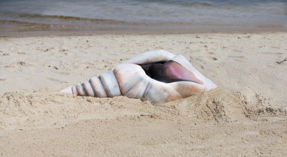 03-Shell-Gesine-Marwedel-Body-Painting-on-Location-including-Water-www-designstack-co