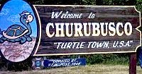 Every Day Is Special June 13 Turtle Days