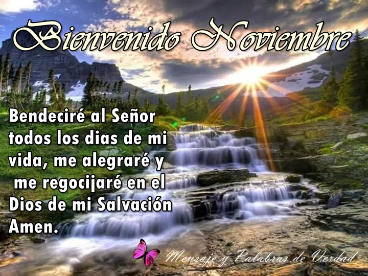 Ver las imágenes de origen