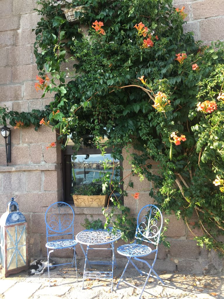 pati pati geziler assos behramkale