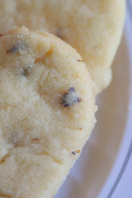 Lavender Shortbread Cookies | Tortillas and Honey