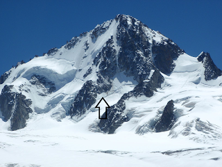 Eperon Migot du Chardonnet