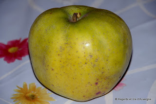 Pommes d' Auvergne.