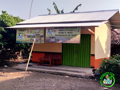 Warung Benih MANGYONOcom Warung Benih MANGYONOcom