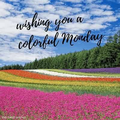 good-morning-wishing-you-a-very-colorful-monday good morning wishing you a very colorful monday