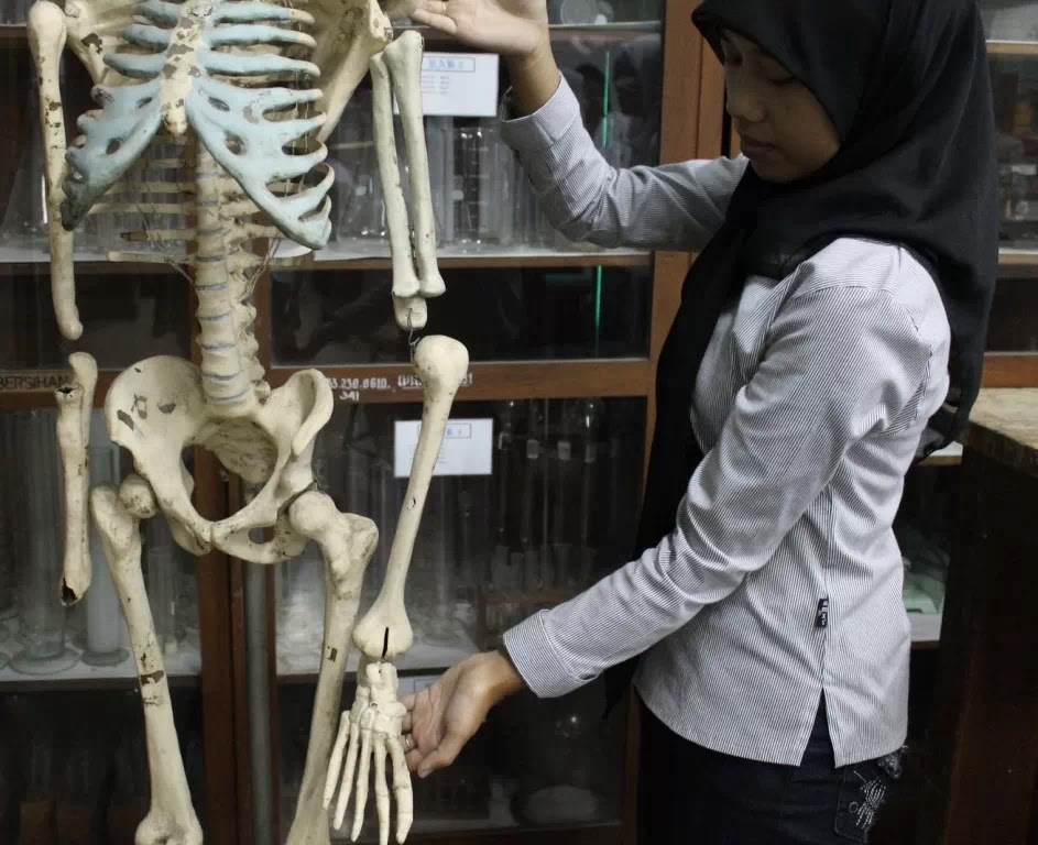 tukang urut pijat PANGGILAN TUKANG URUT PANGGILAN