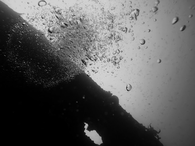 Diving in Barbados | Copyright: Skip to Malou Blog Diving, Underwater Photography, Barbados, Black and White Photography, GoPro
