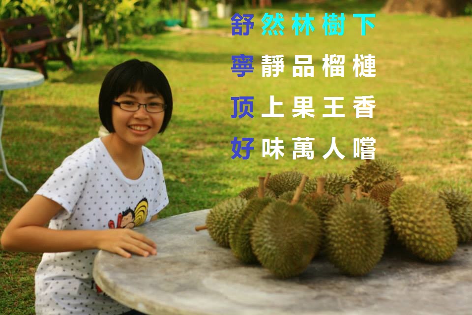 Sulinghill: The place where to eat, get, buy Penang best quality durian