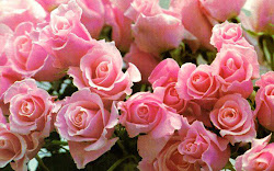 rose pink desktop wallpapers bouquet roses backgrounds keywords