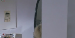 Nicolette Sheridan Nude in Raw Nerve