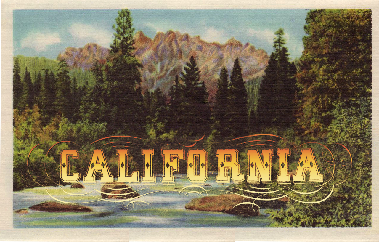 Tracy Lenihan Design Blog: California Save The Date Postcards