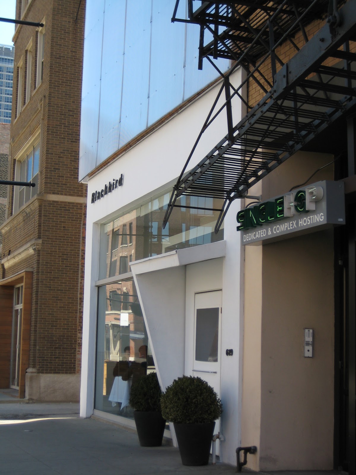 blackbird city lights