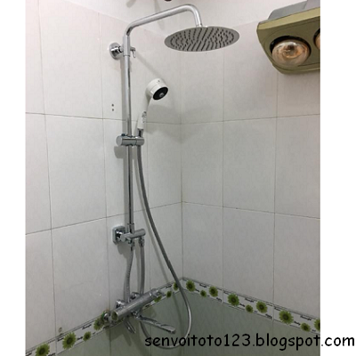 Những lý do khiến bạn cần có một sen cây toto cho phòng tắm nhà bạn-1