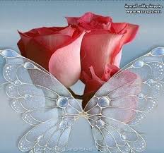 أية وقول وحكمة ليوم 17/ 7