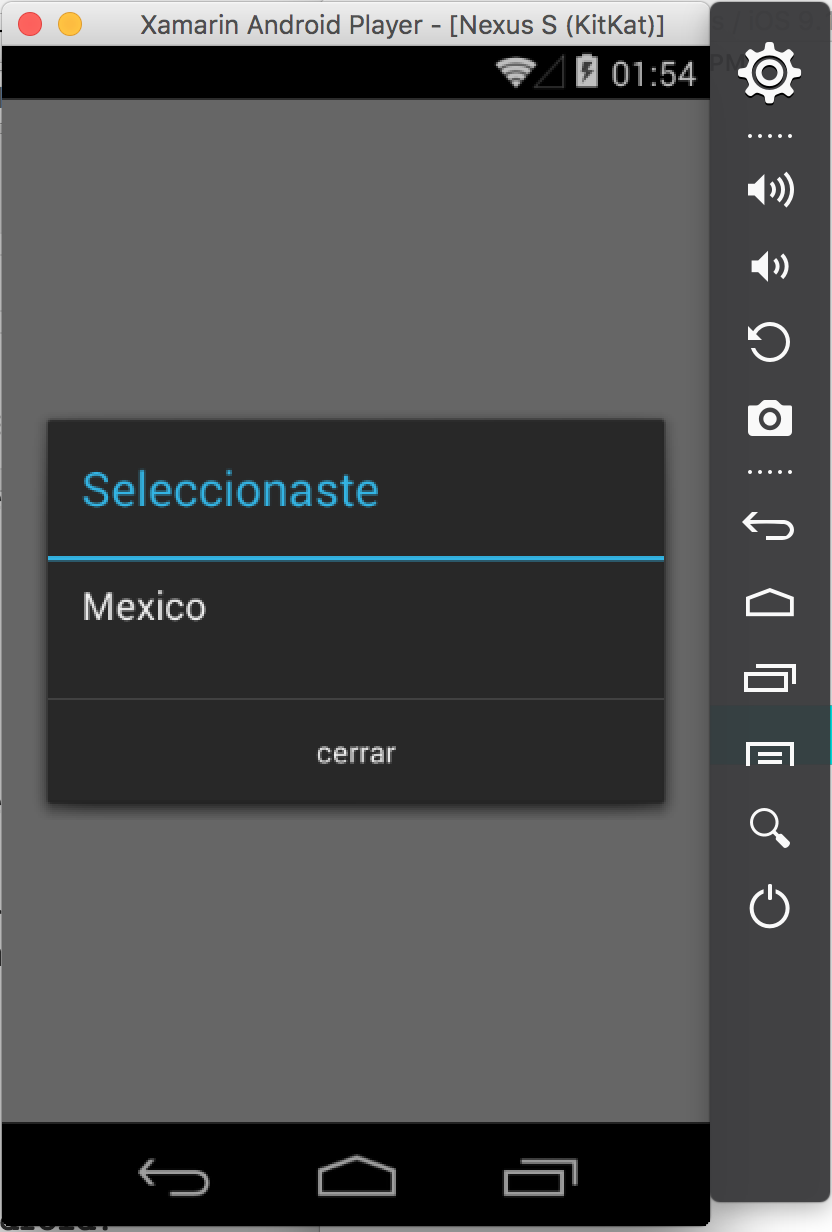 Xamarin.Forms Picker