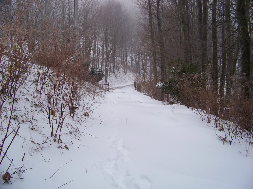 Outside Clyde A Calming Walk In A Raging Blizzard