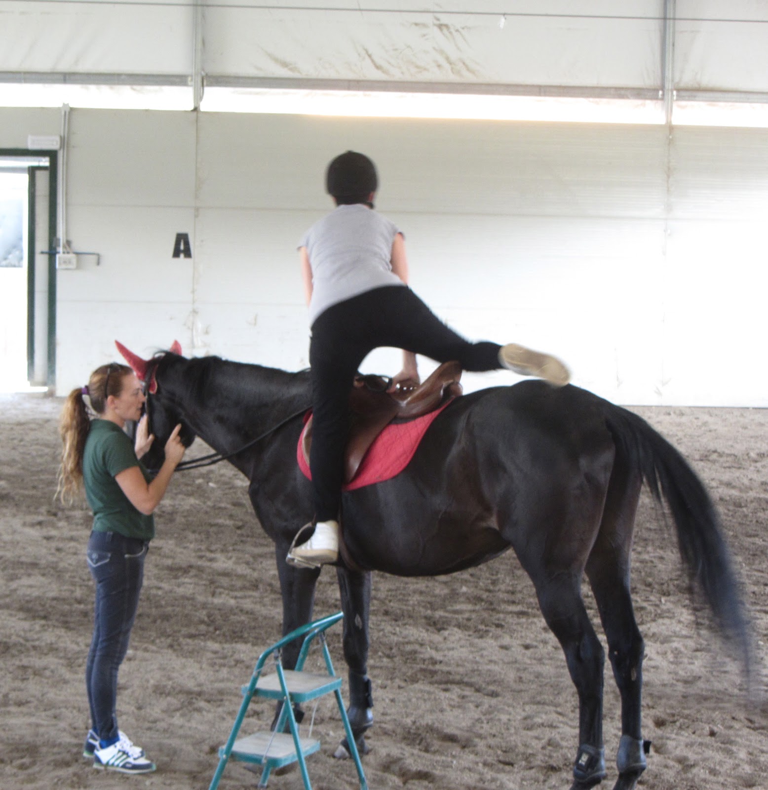 Equitazione e Cavallo Cosa si fa alla prima lezione di equitazione?