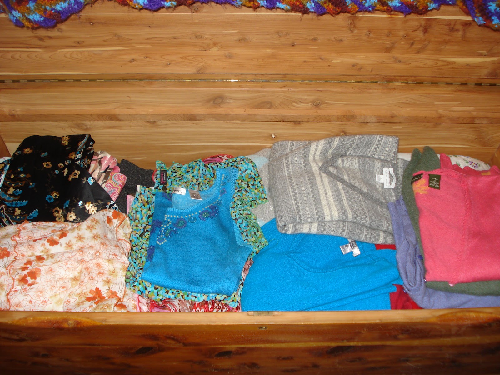 Thrift Shop Commando Echeveria and spring organizing