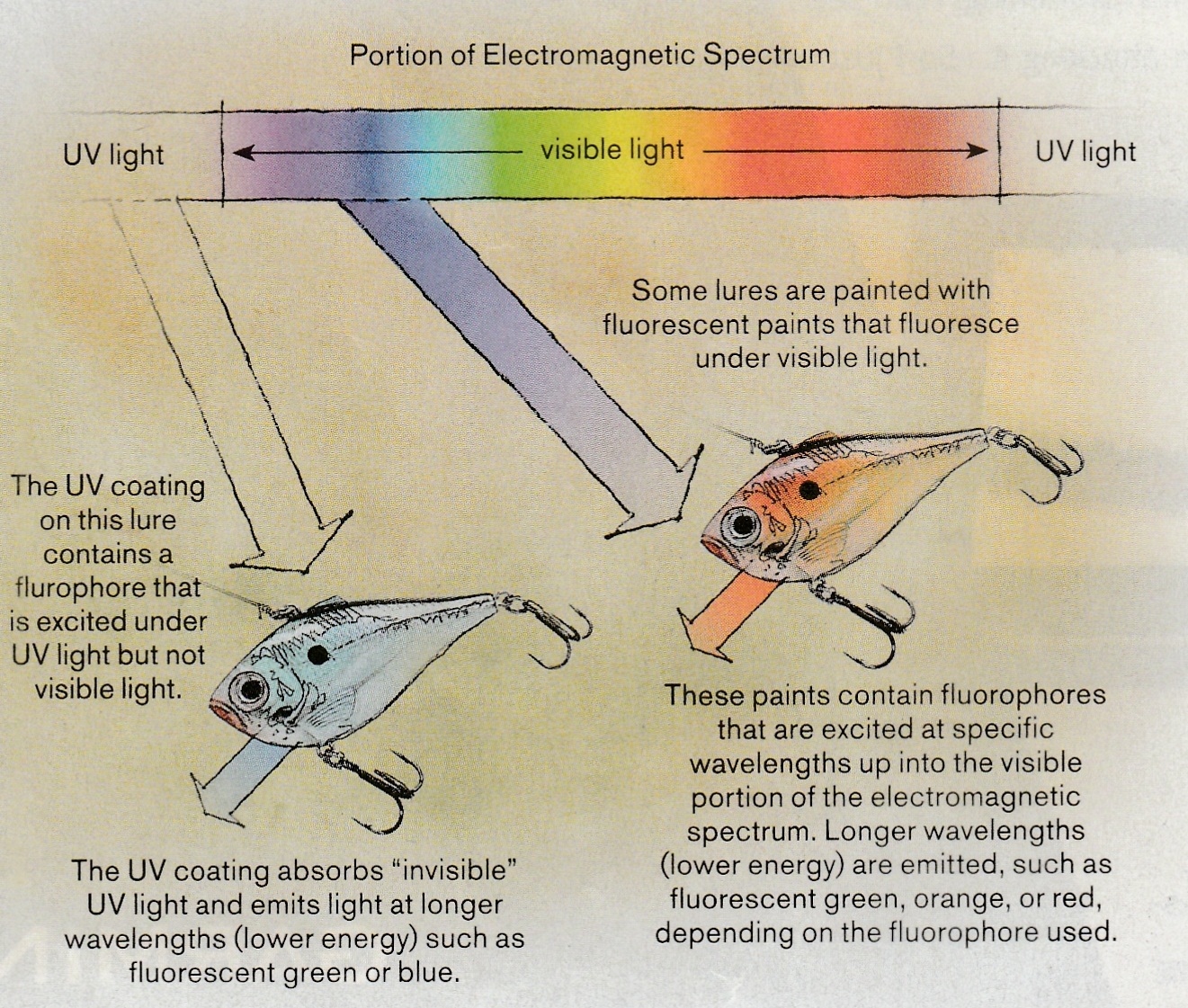 UV Light on Ice and Open Water Fishing Authority Blog