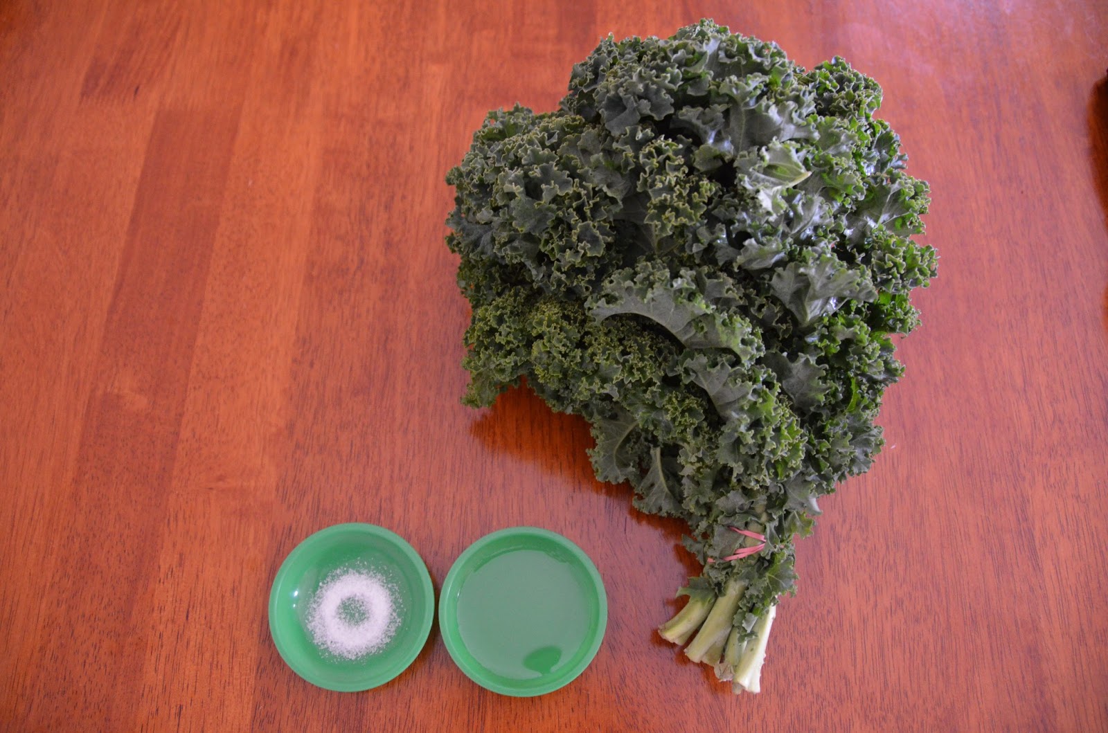 Disclosed Wonders Healthy Homemade Kale Chips