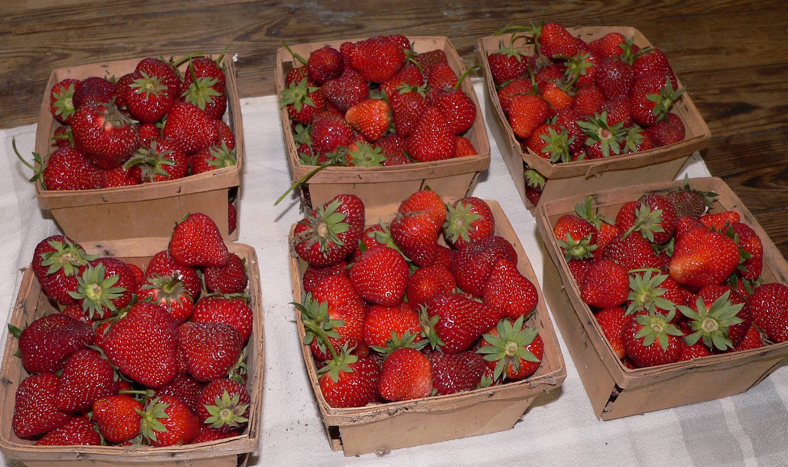 ORGANIC IN ST. LOUIS STRAWBERRY FIELDS