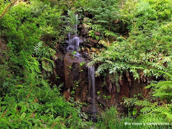 Cascada Beckford, Palacio de Monserrate, Sintra, Portugal