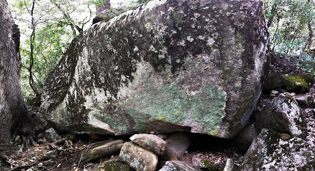 Up close to a large gray stone in natural surroundings