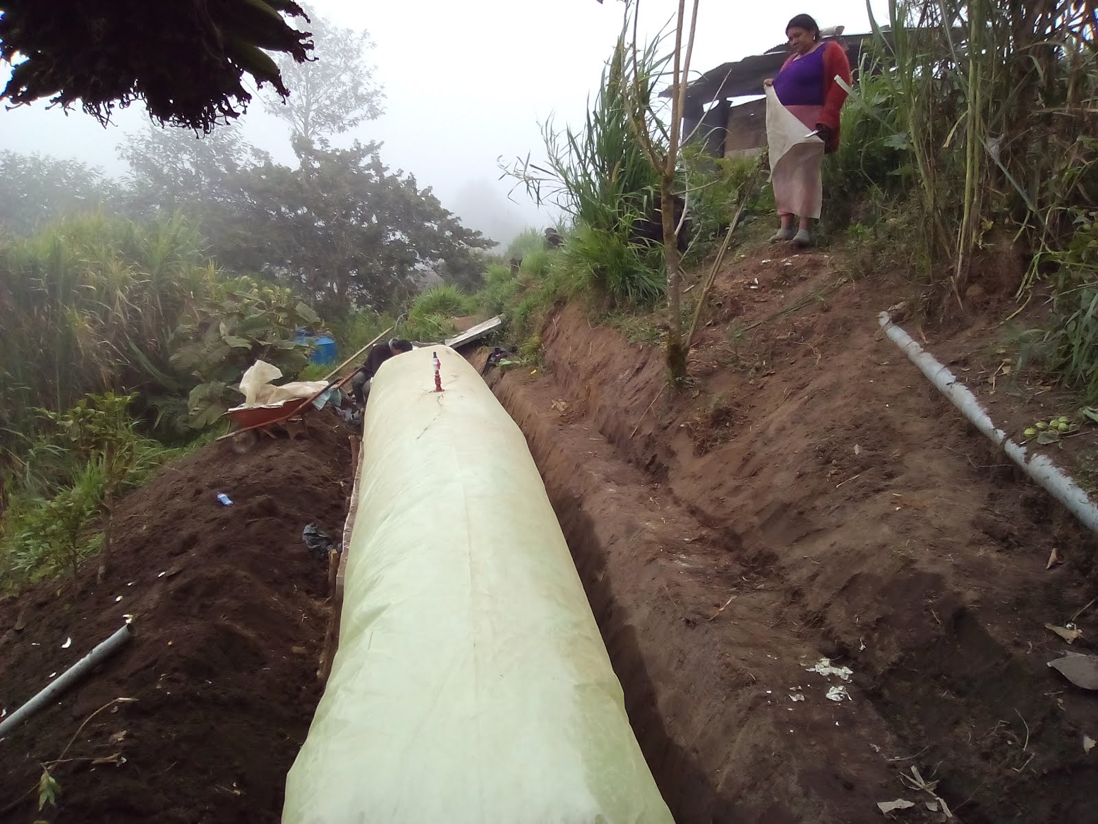 Biodigestor En Cerro Pelado