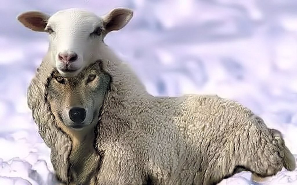 Hình ảnh có liên quan